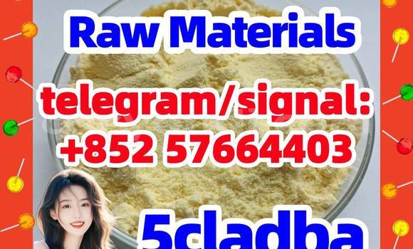 Medium with watermark 56