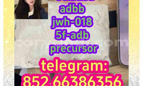 Medium with watermark 10