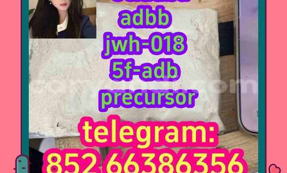 Medium with watermark 11