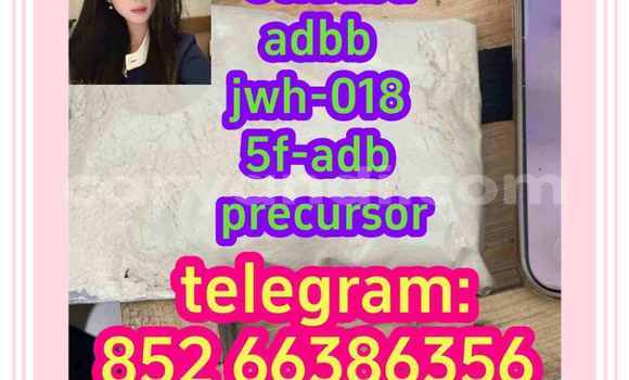 Medium with watermark 12