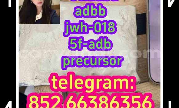 Medium with watermark 13