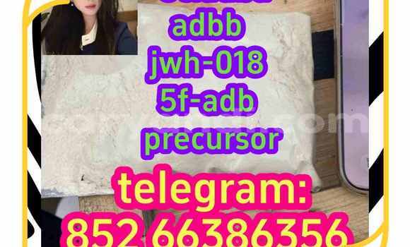 Medium with watermark 14