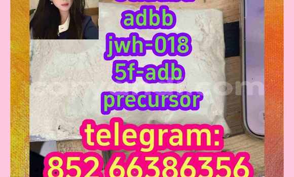 Medium with watermark 15