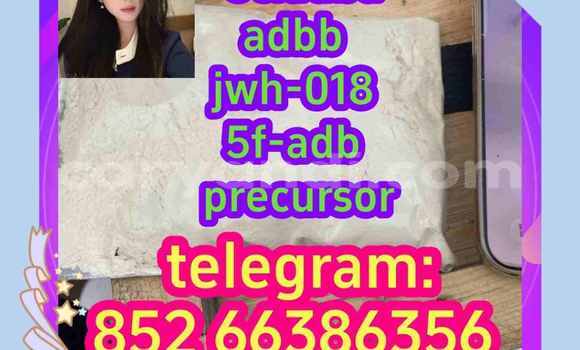 Medium with watermark 1