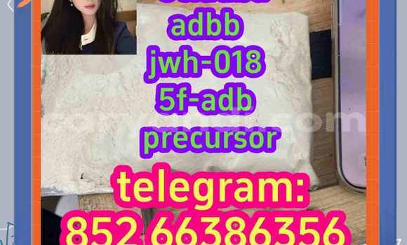 Medium with watermark 3