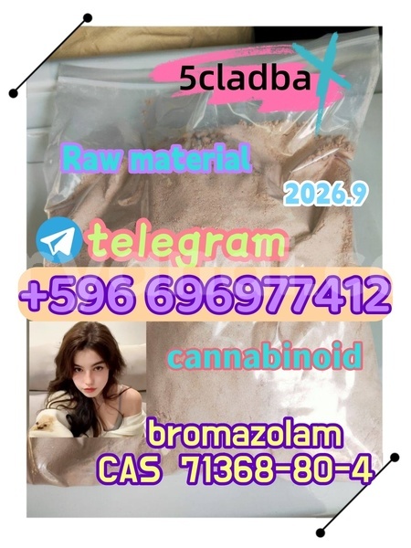 Big with watermark 9.8