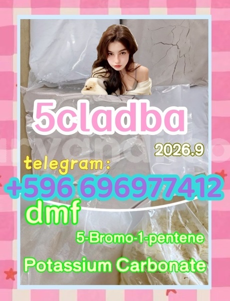 Big with watermark 9.1