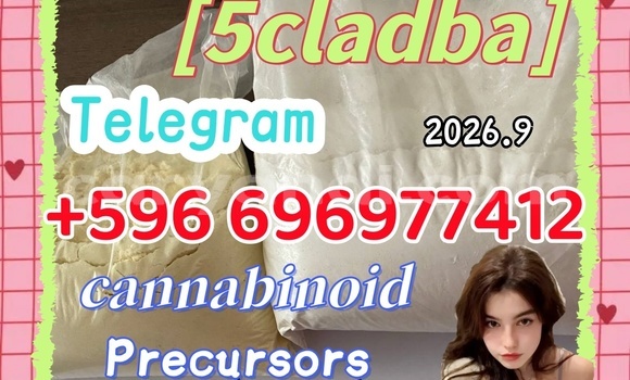 Medium with watermark 9.