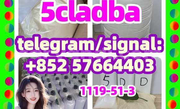 Medium with watermark 51