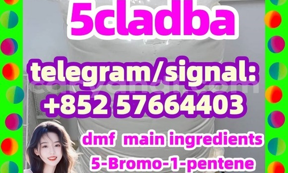 Medium with watermark 52