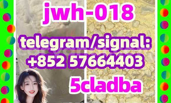 Medium with watermark 53
