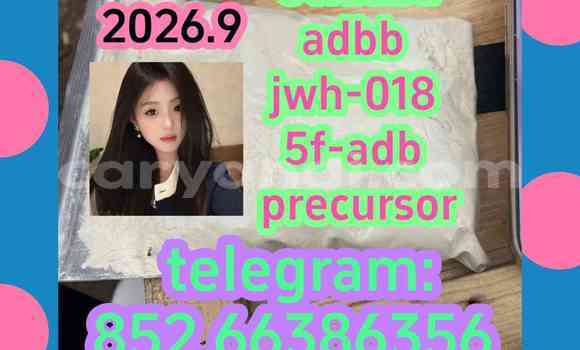 Medium with watermark 11