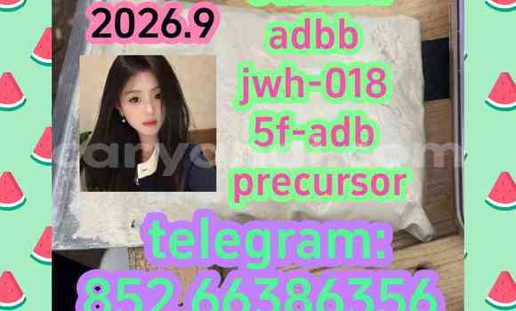 Medium with watermark 12