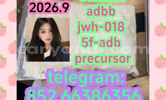 Medium with watermark 13
