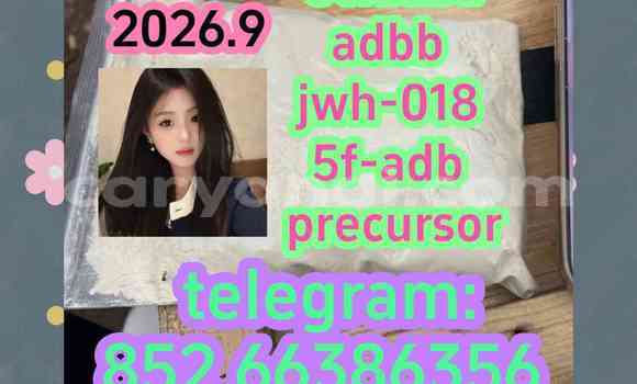 Medium with watermark 14
