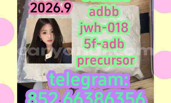 Medium with watermark 15