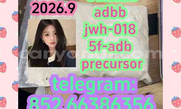Medium with watermark 1