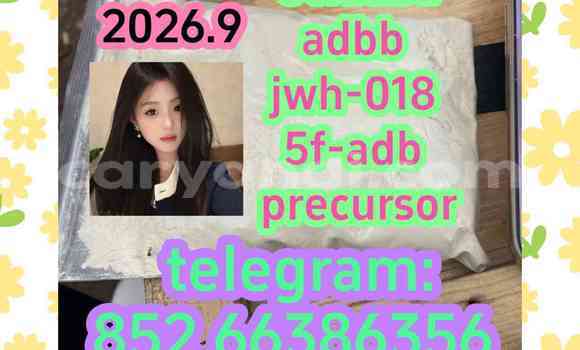 Medium with watermark 2