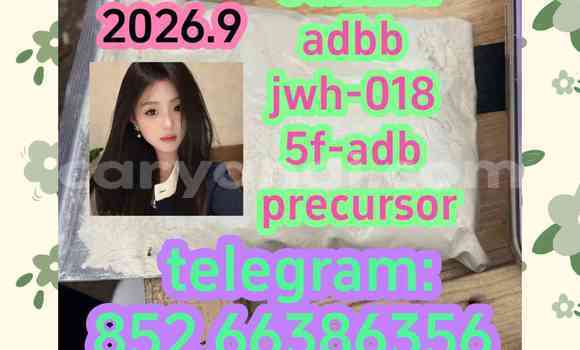Medium with watermark 4