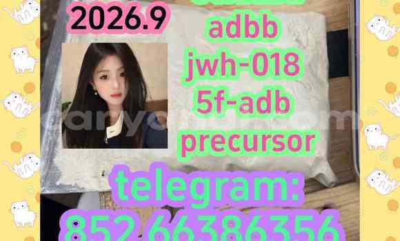 Medium with watermark 5