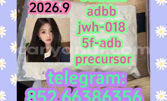 Medium with watermark 6