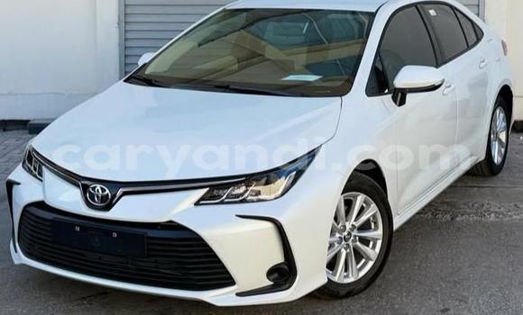 Buy Used Toyota Corolla White Car in Lusaka in Zambia