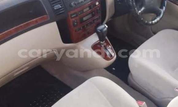 Buy Used Toyota Spacio Other Car in Lusaka in Zambia Buy Used Toyota Spacio Other Car in Lusaka in Zambia