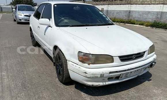 Buy Used Toyota Corolla Other Car in Lusaka in Zambia Buy Used Toyota Corolla Other Car in Lusaka in Zambia