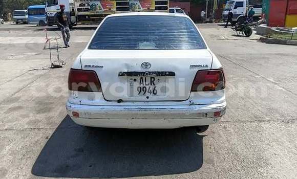 Buy Used Toyota Corolla Other Car in Lusaka in Zambia Buy Used Toyota Corolla Other Car in Lusaka in Zambia