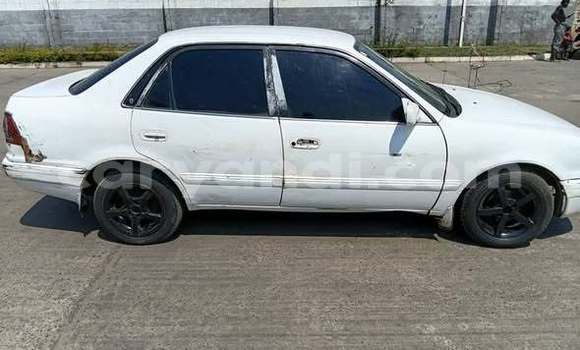 Buy Used Toyota Corolla Other Car in Lusaka in Zambia Buy Used Toyota Corolla Other Car in Lusaka in Zambia