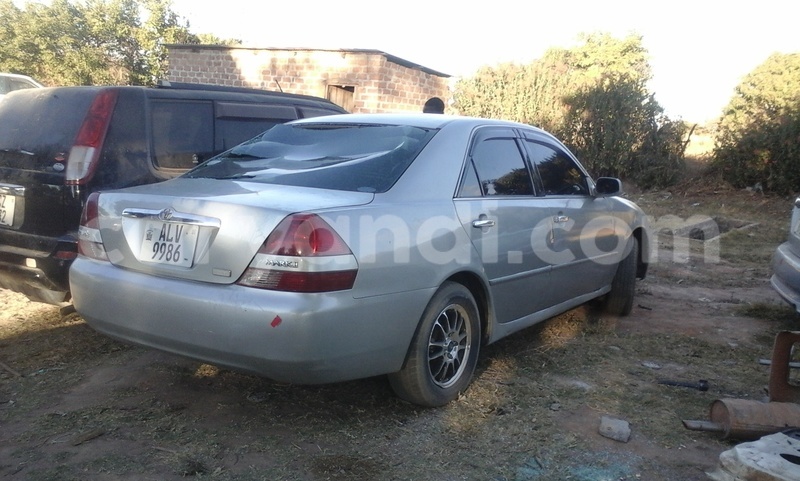 Big with watermark 7