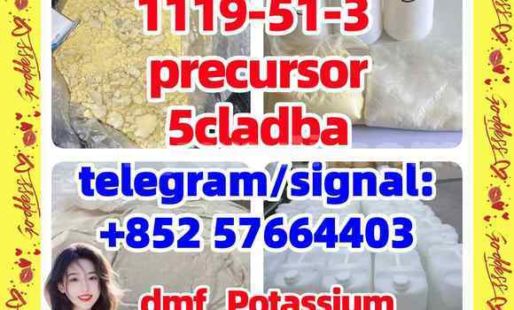 Medium with watermark 55