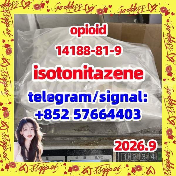 Big with watermark i1