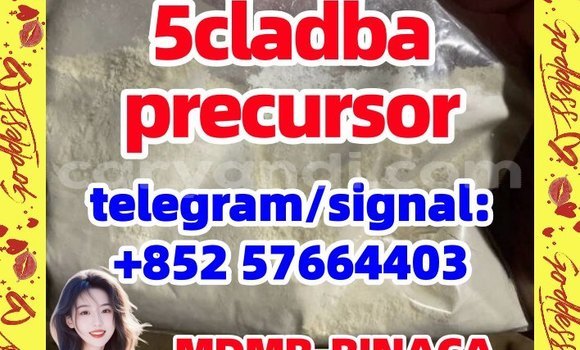 5cladba adbb Precursor