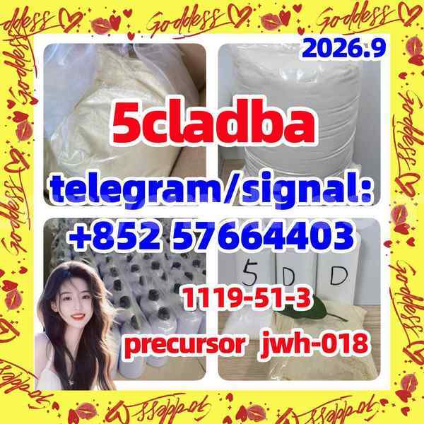 Big with watermark 56
