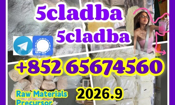 Medium with watermark quanbu %e5%89%af%e6%9c%acdcbgdfhfg %e5%89%af%e6%9c%ac