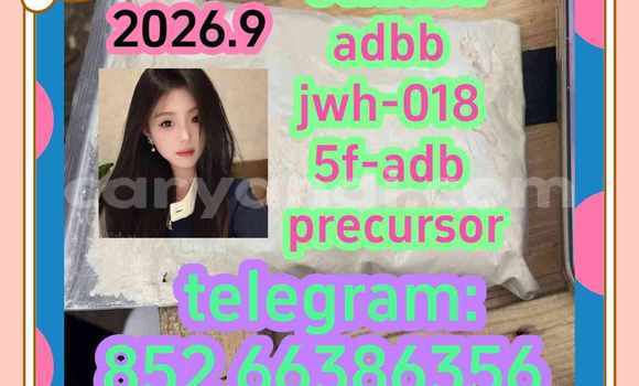 Medium with watermark 11