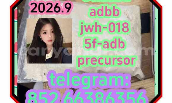 Medium with watermark 12