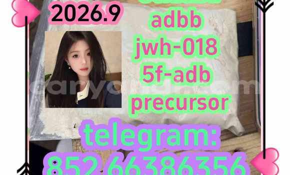 Medium with watermark 13