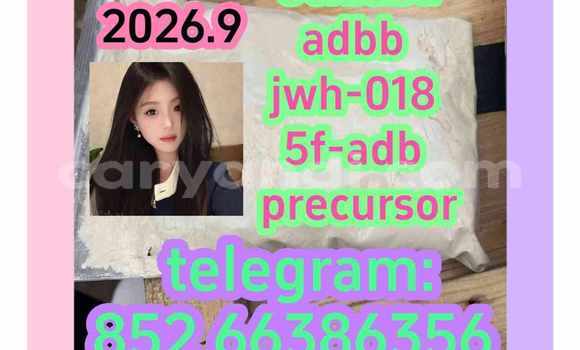 Medium with watermark 1