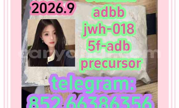 Medium with watermark 2