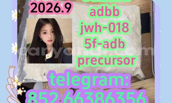 Medium with watermark 6