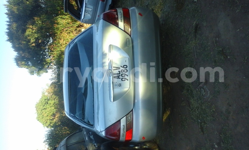 Big with watermark 8