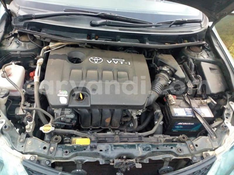 Big with watermark 58591275 1012044912519120 2604702106573078528 n