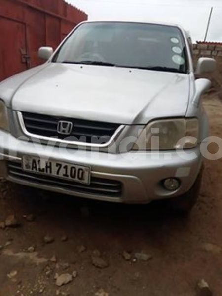 Big with watermark 58444926 343181726338186 2170218511920529408 n