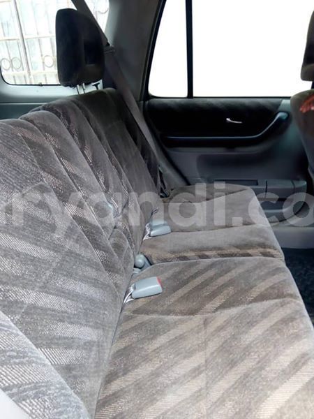 Big with watermark 58374826 343181809671511 3871957685003878400 n