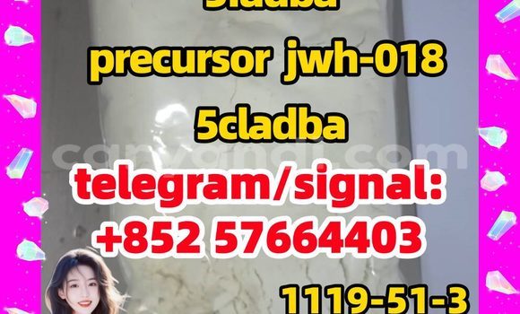 Medium with watermark 51