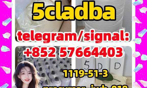 Medium with watermark 56