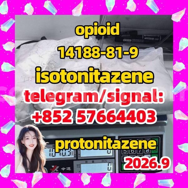Big with watermark i1
