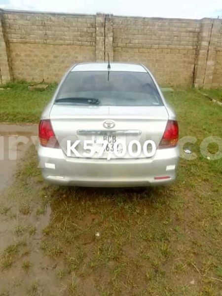 Big with watermark 58377790 343152919674400 6135399716214538240 n